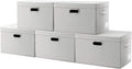 PRANDOM Large Collapsible Storage Containers by Prandom