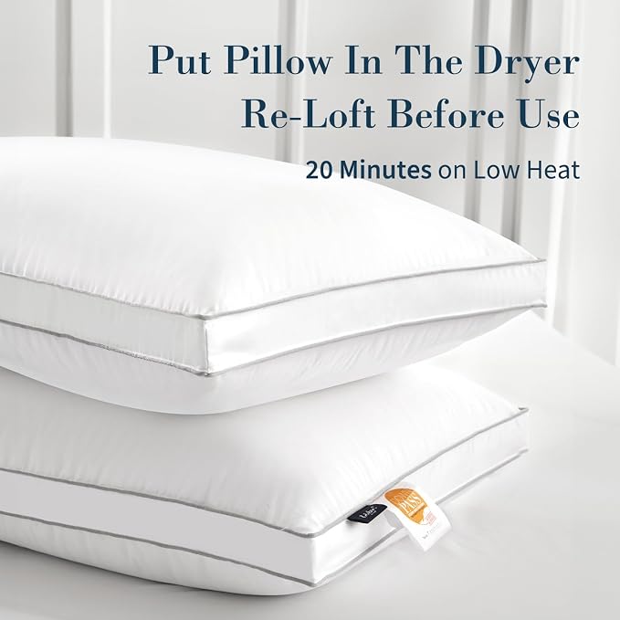 Globon Luxury Feather Down Pillow King Size - Image 2