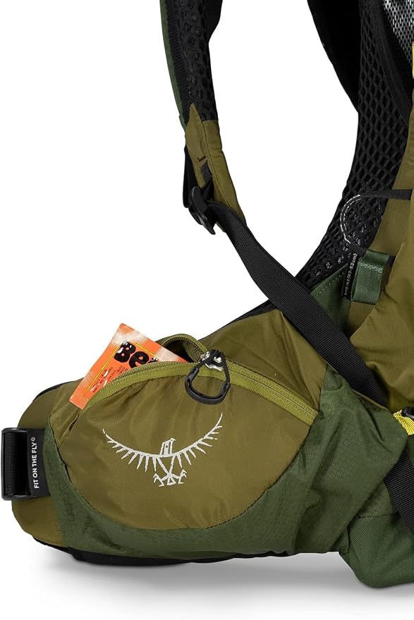 Osprey Atmos AG LT 50L Men's Backpacking Backpack, Scenic Valley/Green - Image 12