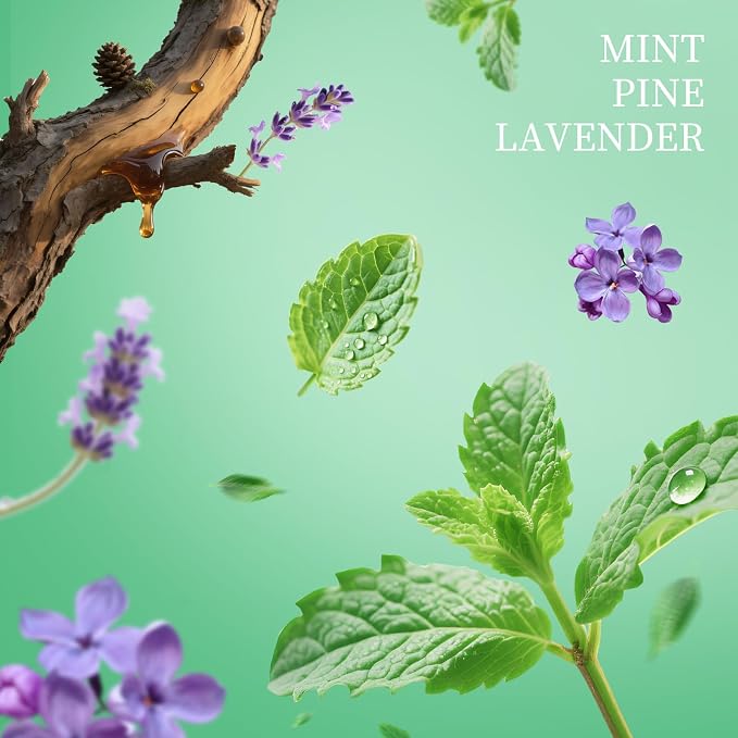 Power Mist Hand Sanitizer Spray, Scented Hydrating Hand Sanitizers Travel Size - Image 6