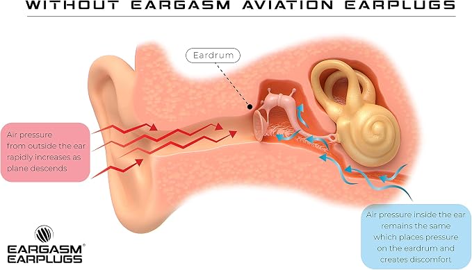 Eargasm Aviation Earplugs Small - Image 6