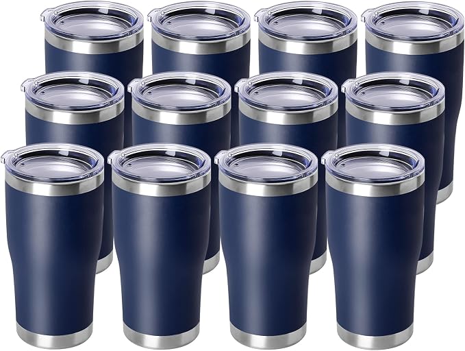 DOMICARE 20oz Tumbler with Lid Stainless Steel Tumblers Bulk, Double Wall by VisittheDOMICARE