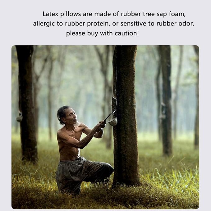 High-Profile Nature Latex Foam Pillow, Slightly Soft - Image 6