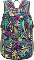 WATERFLY Hiking Foldable Daypack Backpack: 25L Ultra Lightweight Packable by Waterfly